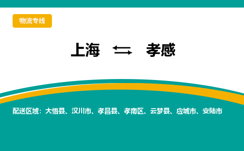 上海到孝感物流专线-上海至孝感货运全程保障