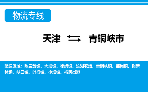 天津到青铜峡市物流公司-天津至青铜峡市专线选择无需犹豫