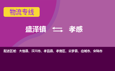 盛泽镇到孝感物流专线|盛泽镇至孝感物流公司