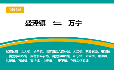 盛泽镇到万宁物流专线|盛泽镇至万宁物流公司