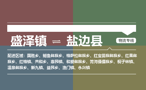 盛泽镇到盐边县物流专线|盛泽镇至盐边县物流公司