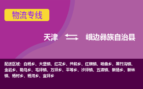 天津到峨边县物流公司-天津至峨边县专线提供标准化物流服务